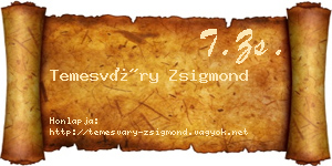 Temesváry Zsigmond névjegykártya