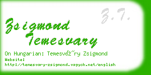 zsigmond temesvary business card